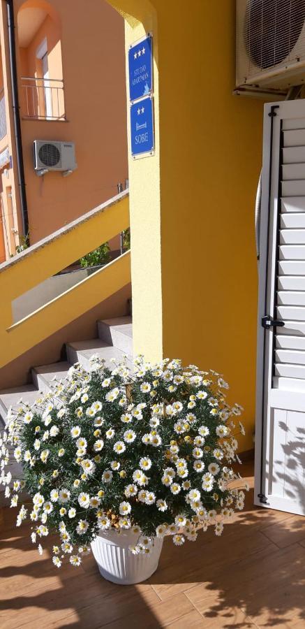 Apartment And Room Hudoletnjak Šilo Zewnętrze zdjęcie